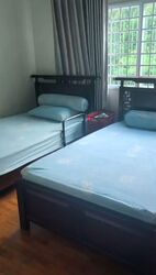 Westwood Park (D22), Terrace #570760401